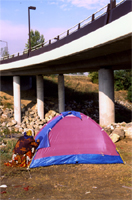 Photos  " Le désespoir  "