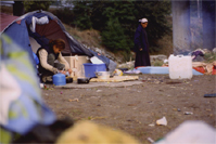 Afficher la page d'accueil  " Le désespoir "